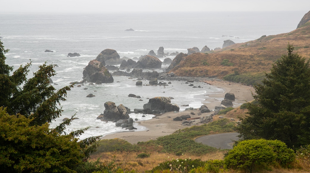 Lone Ranch Beach