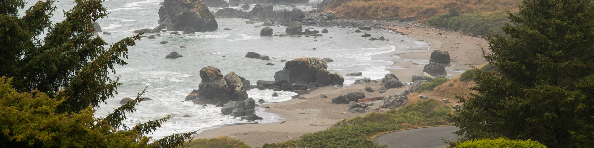 Lone Ranch Beach featuring general coastal views, mist or fog and rugged coastline