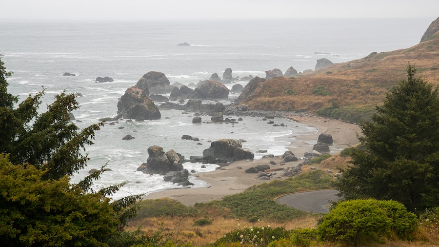 Lone Ranch Beach