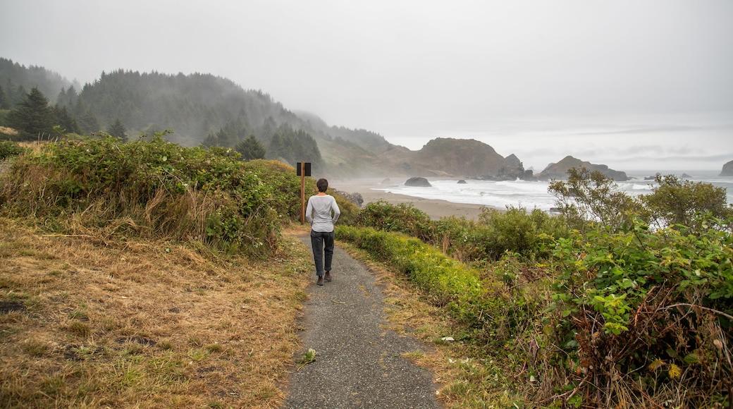 Lone Ranch Beach