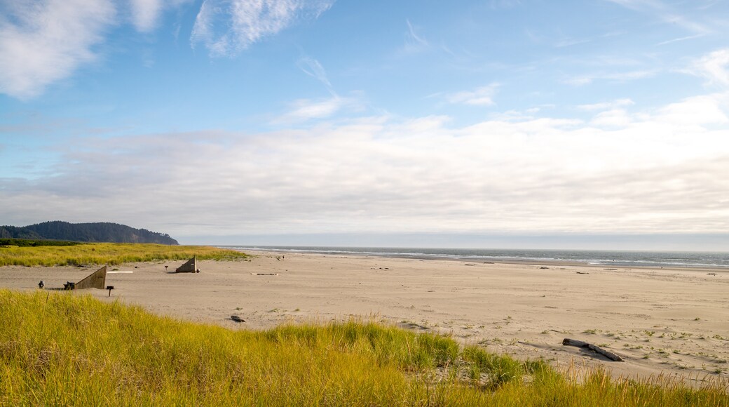 Long Beach which includes general coastal views and a beach