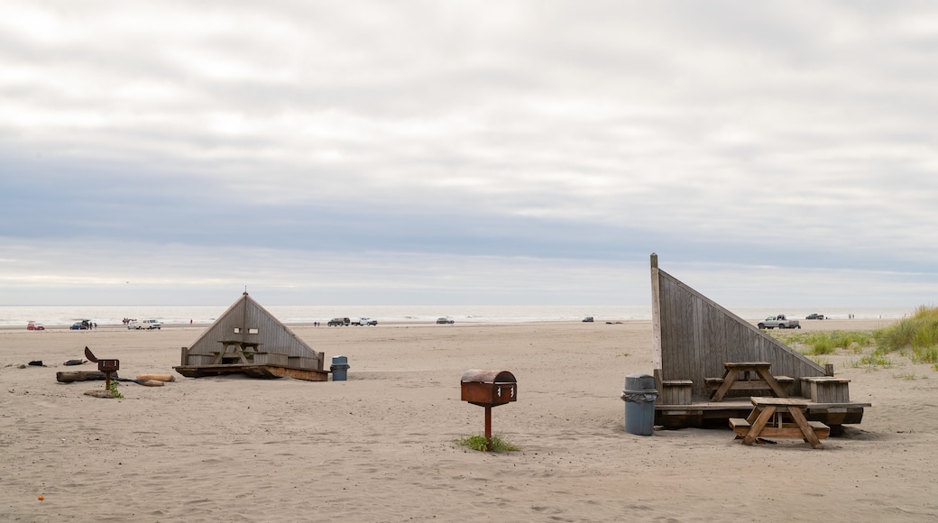 Long Beach featuring a sandy beach