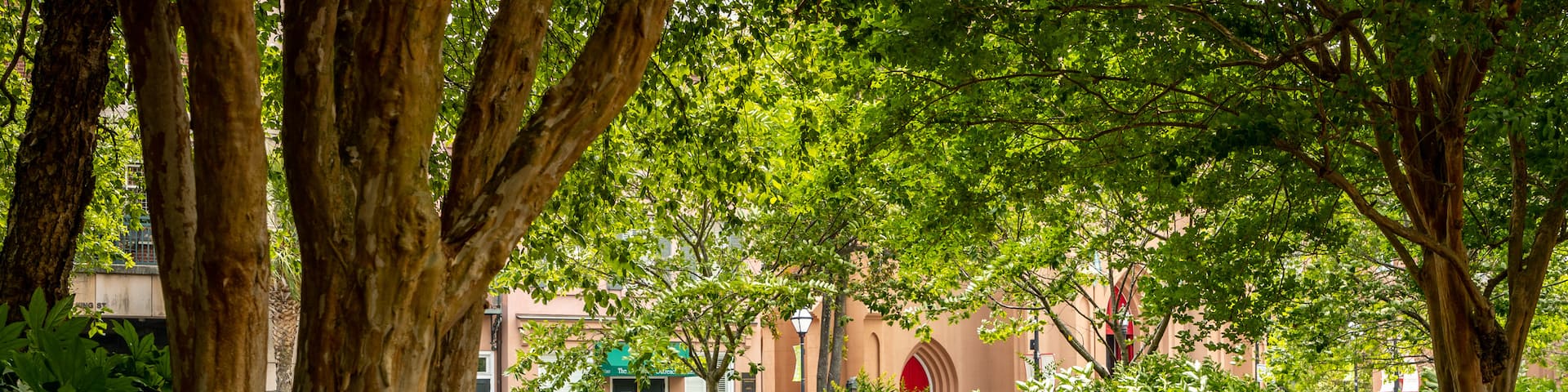 Marion Square featuring a park