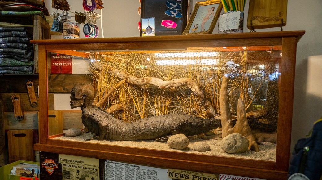 Marsh #39 s Free Museum Tours Book Now Expedia Marsh #39 s Free Museum Tours Book Now Expedia