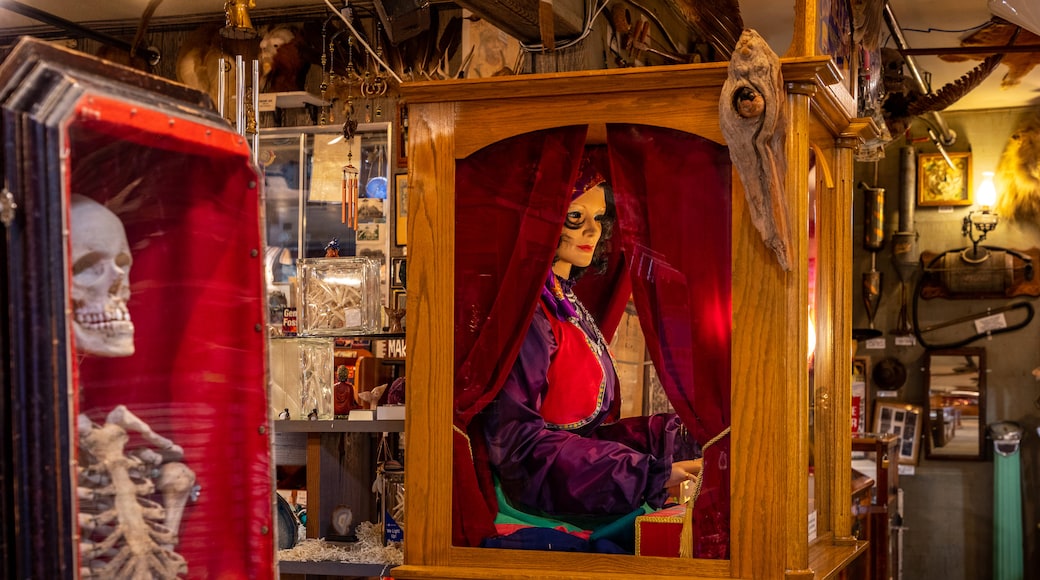 Marsh's Free Museum