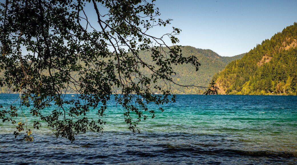 Marymere Falls featuring a lake or waterhole