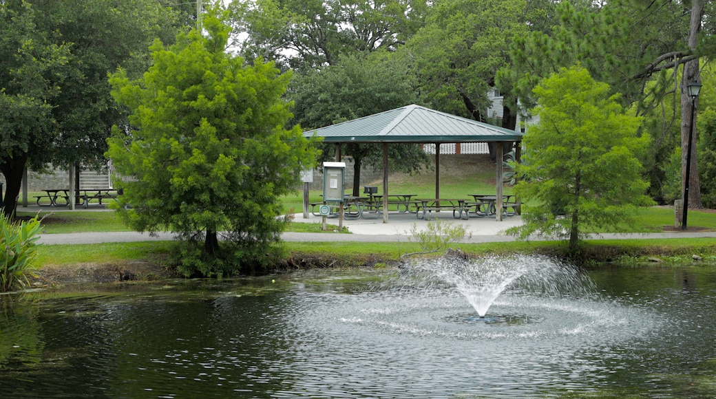 Parc McLean Park