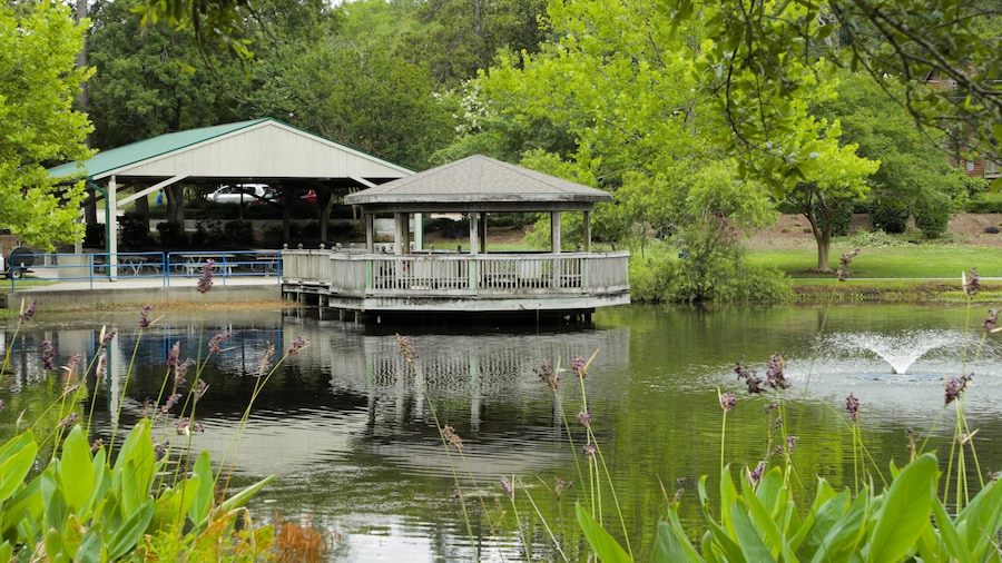 Parque McLean