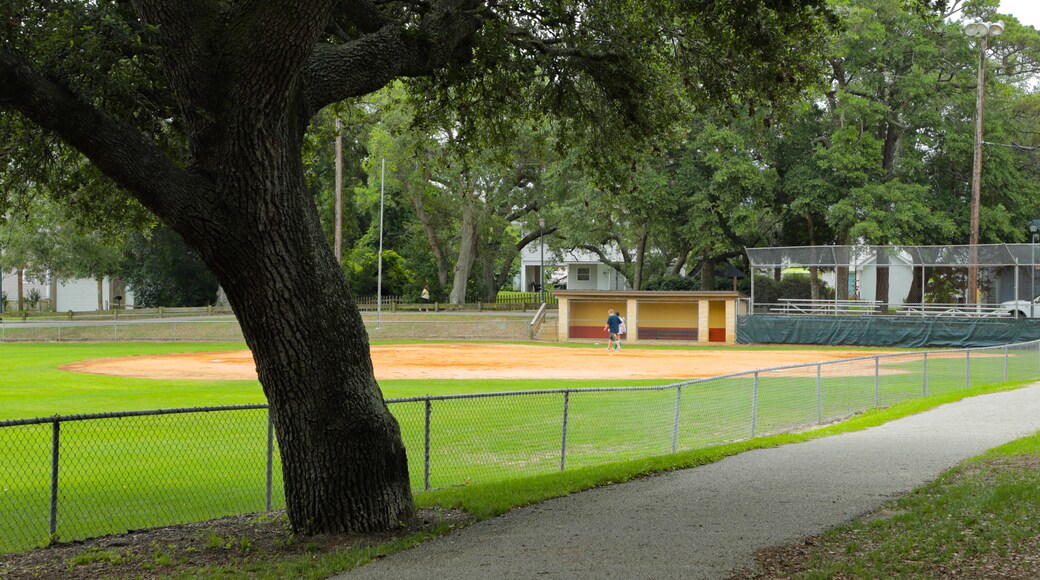 Parc McLean Park