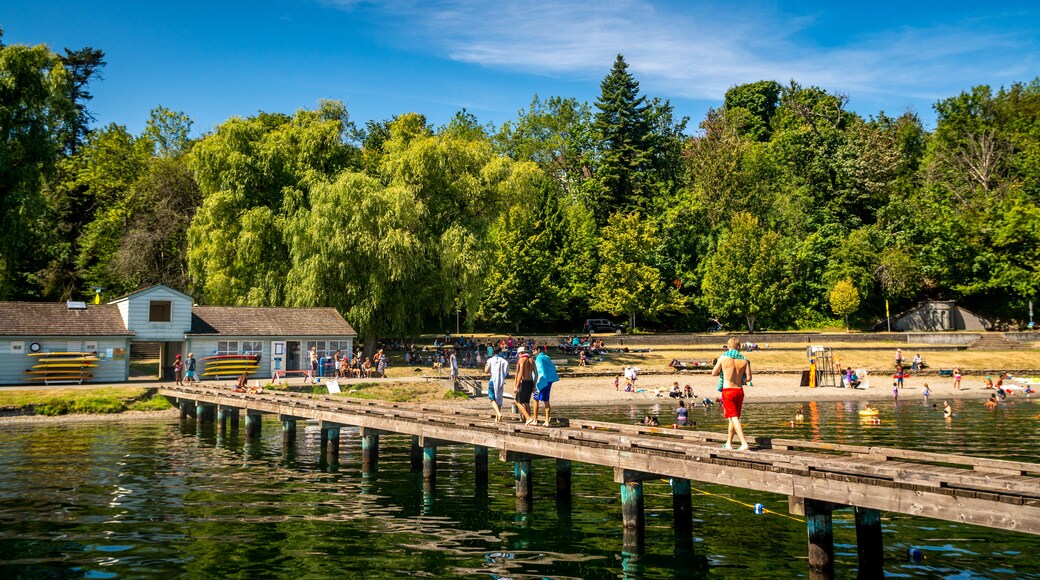 Mount Baker Beach showing a lake or waterhole as well as a small group of people