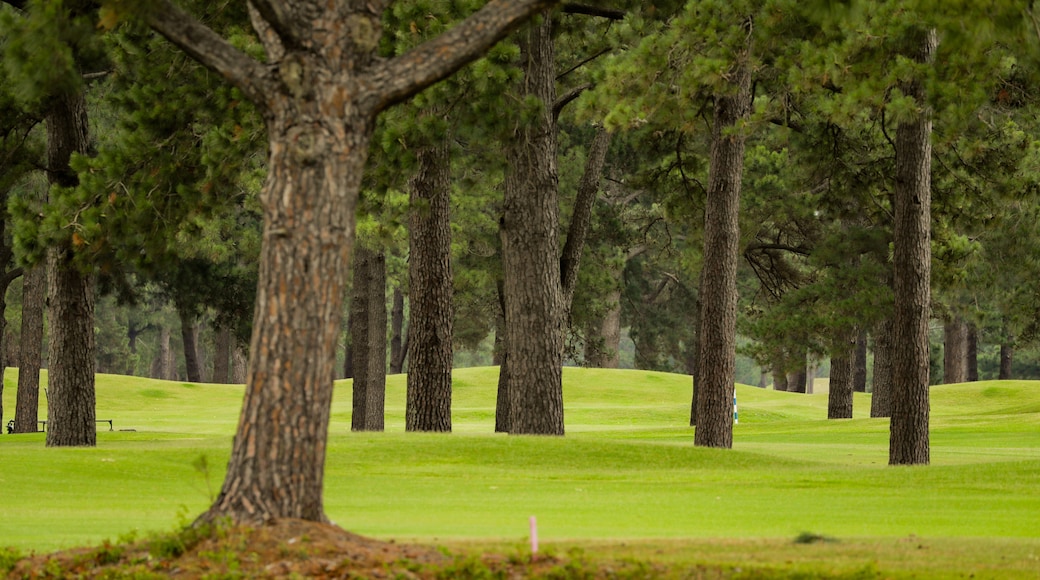 Myrtlewood Golf Club