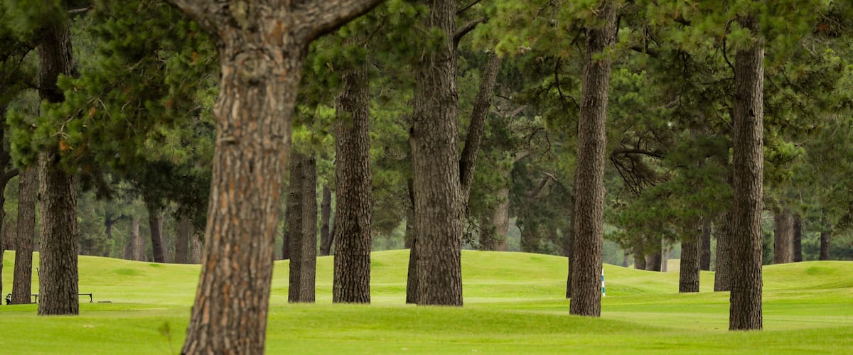 Myrtlewood Golf Club featuring golf