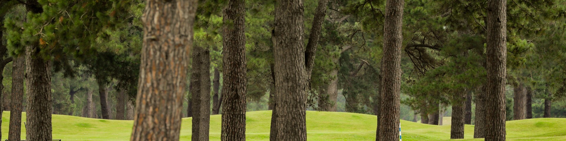 Central Myrtle Beach, Myrtle Beach, South Carolina, United States of America