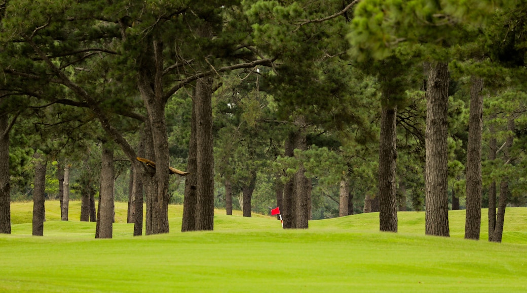 Myrtlewood Golf Club