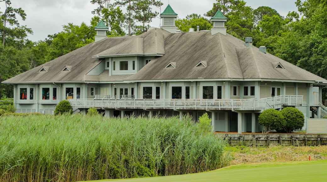 Club de golf Tidewater