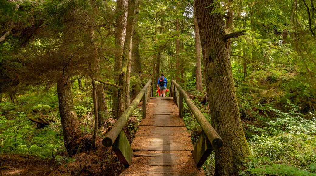 Neah Bay which includes rainforest and a bridge as well as an individual male