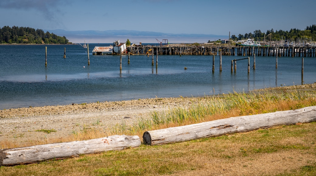 Neah Bay featuring a bay or harbor