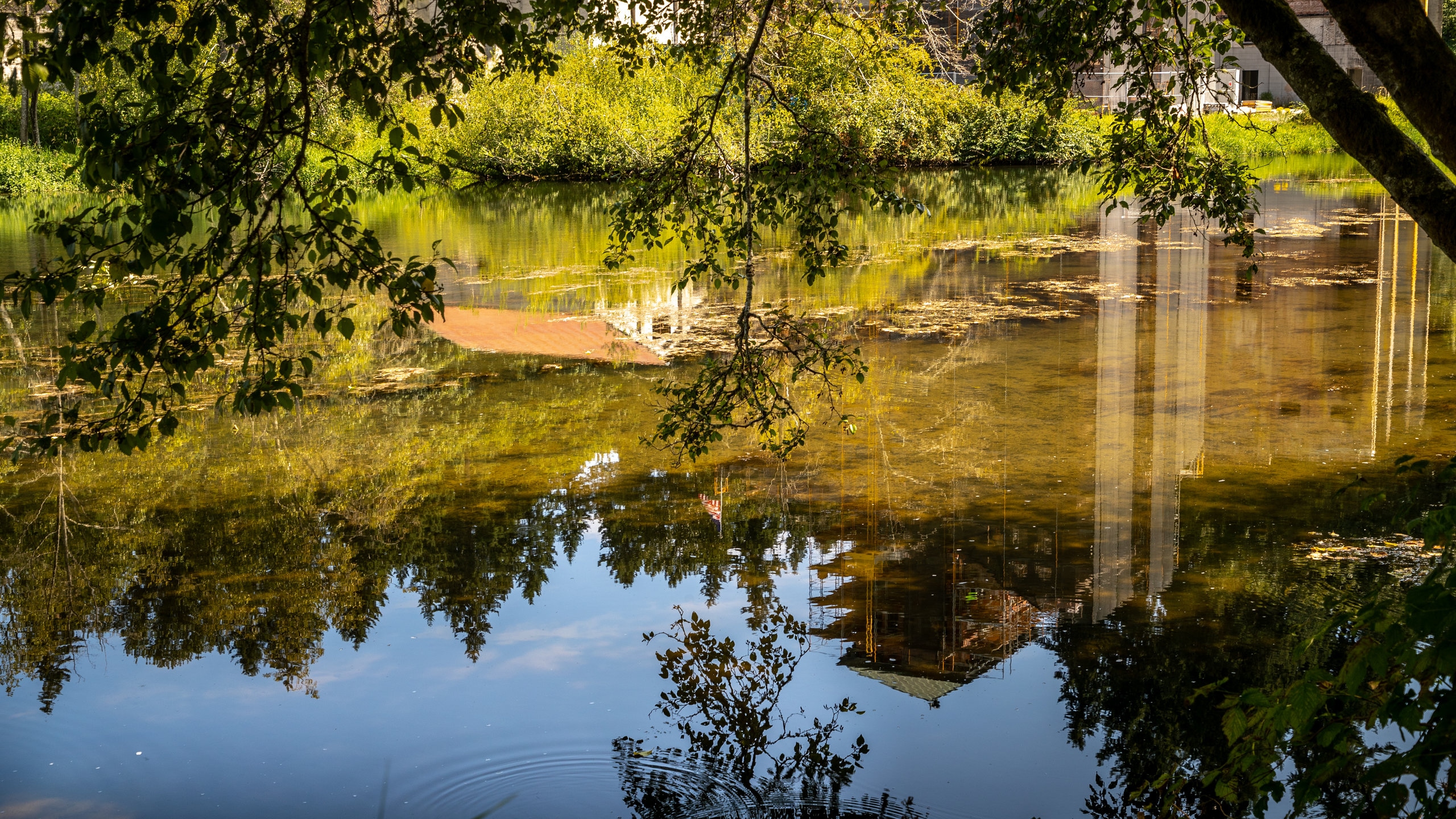 Tumwater showing a pond