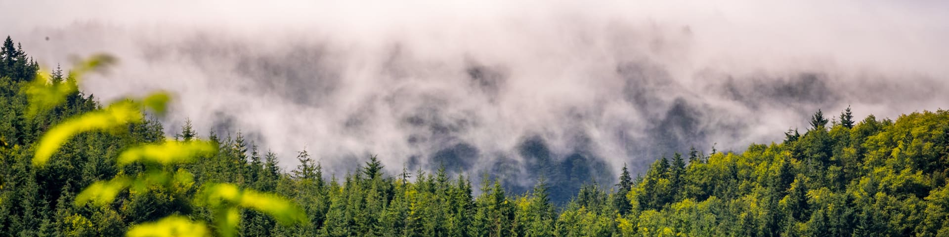 Olympic National Park which includes landscape views, mist or fog and tranquil scenes