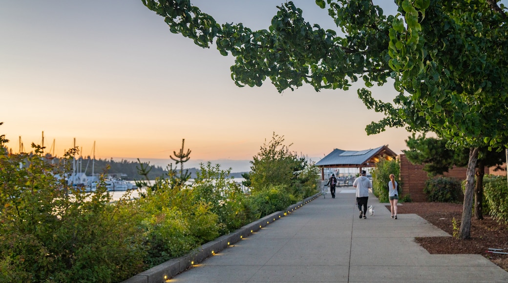 Percival Landing which includes a sunset as well as a couple
