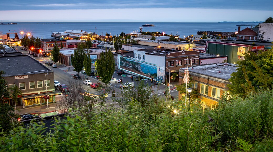 Port Angeles featuring landscape views and a coastal town