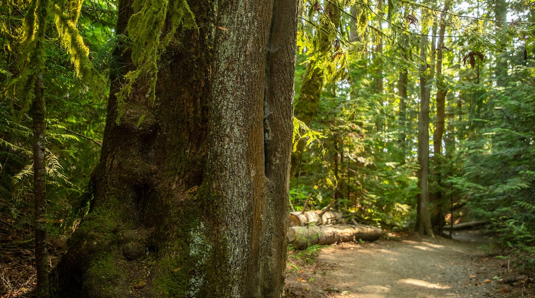 Priest Point Park