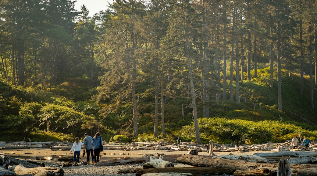 Ruby Beach