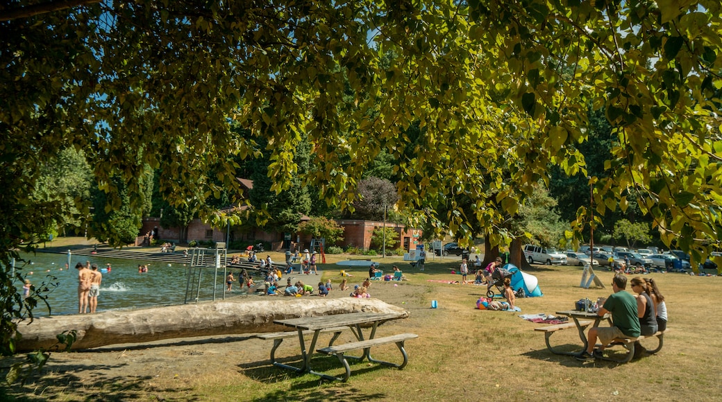 Seward Park showing a lake or waterhole and a garden as well as a small group of people