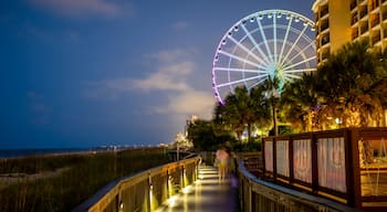 SkyWheel Myrtle Beach showing night scenes