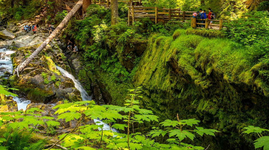 Sol Duc Falls