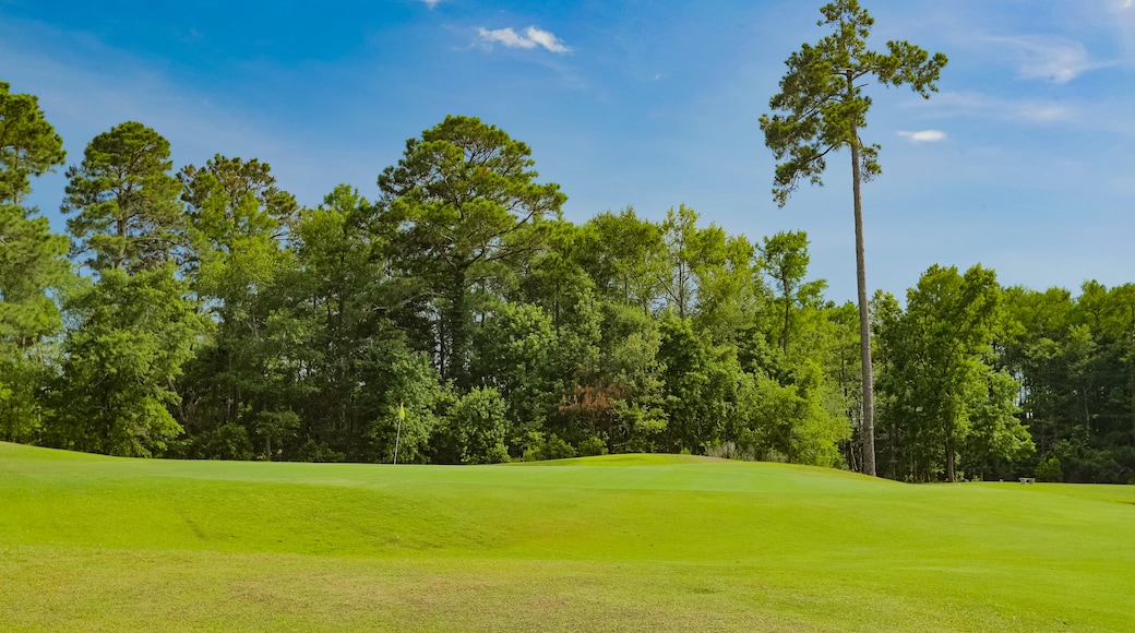 Tupelo Bay Golf Center showing golf