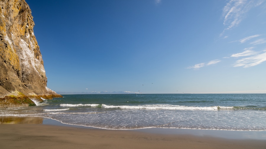 Bãi biển Waikiki