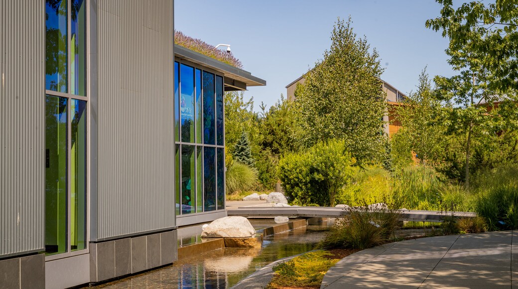 WET Science Center showing a river or creek