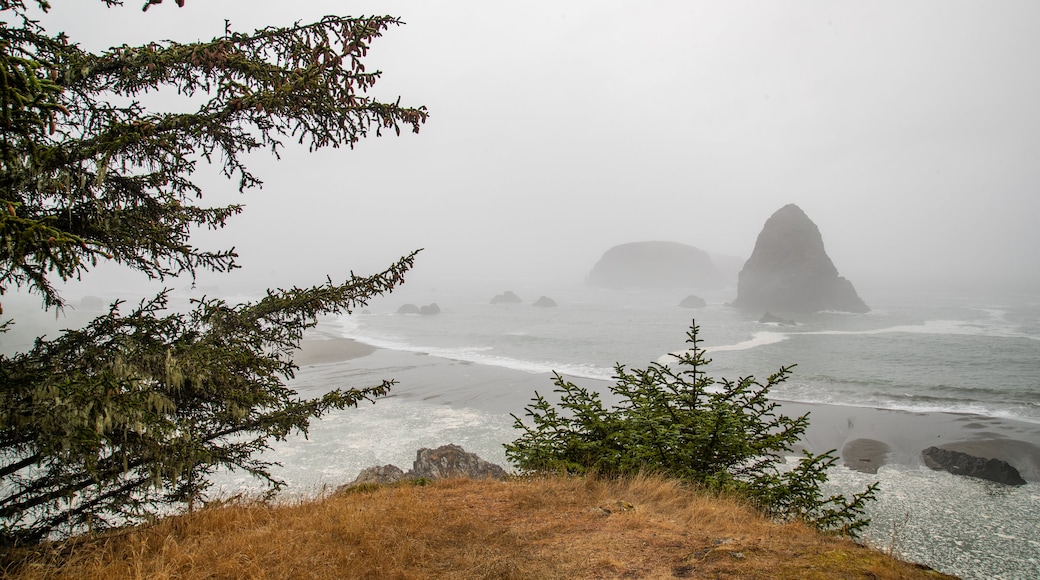 Plage de Whaleshead