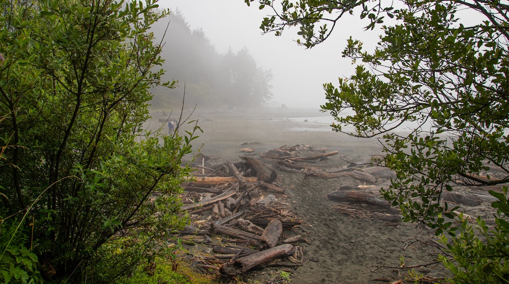 Plage de Whaleshead