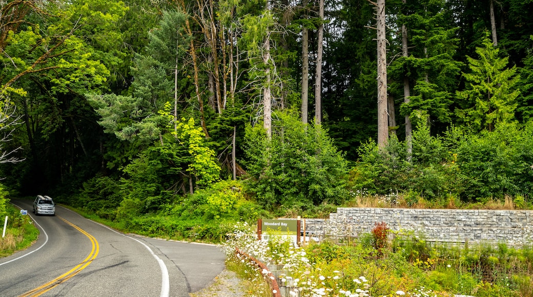 Woodard Bay Natural Resources Conservation Area showing wildflowers, forests and tranquil scenes