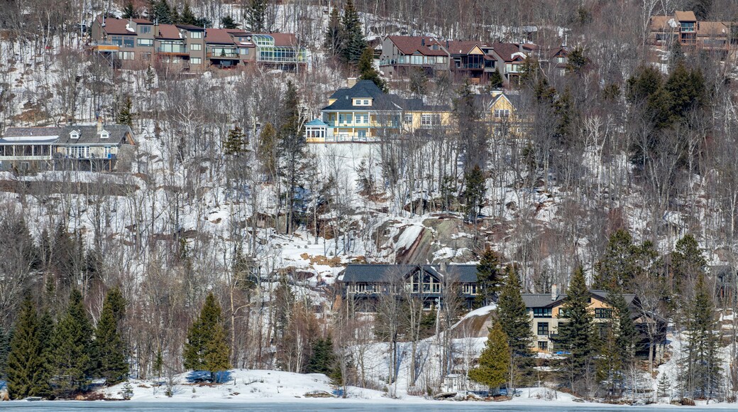 Lake Tremblant showing a small town or village and snow