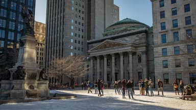 Old Montreal featuring a city, street scenes and an administrative buidling
