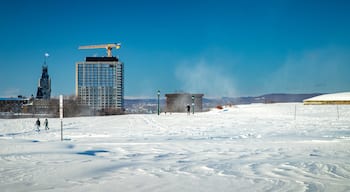 Plains of Abraham which includes snow