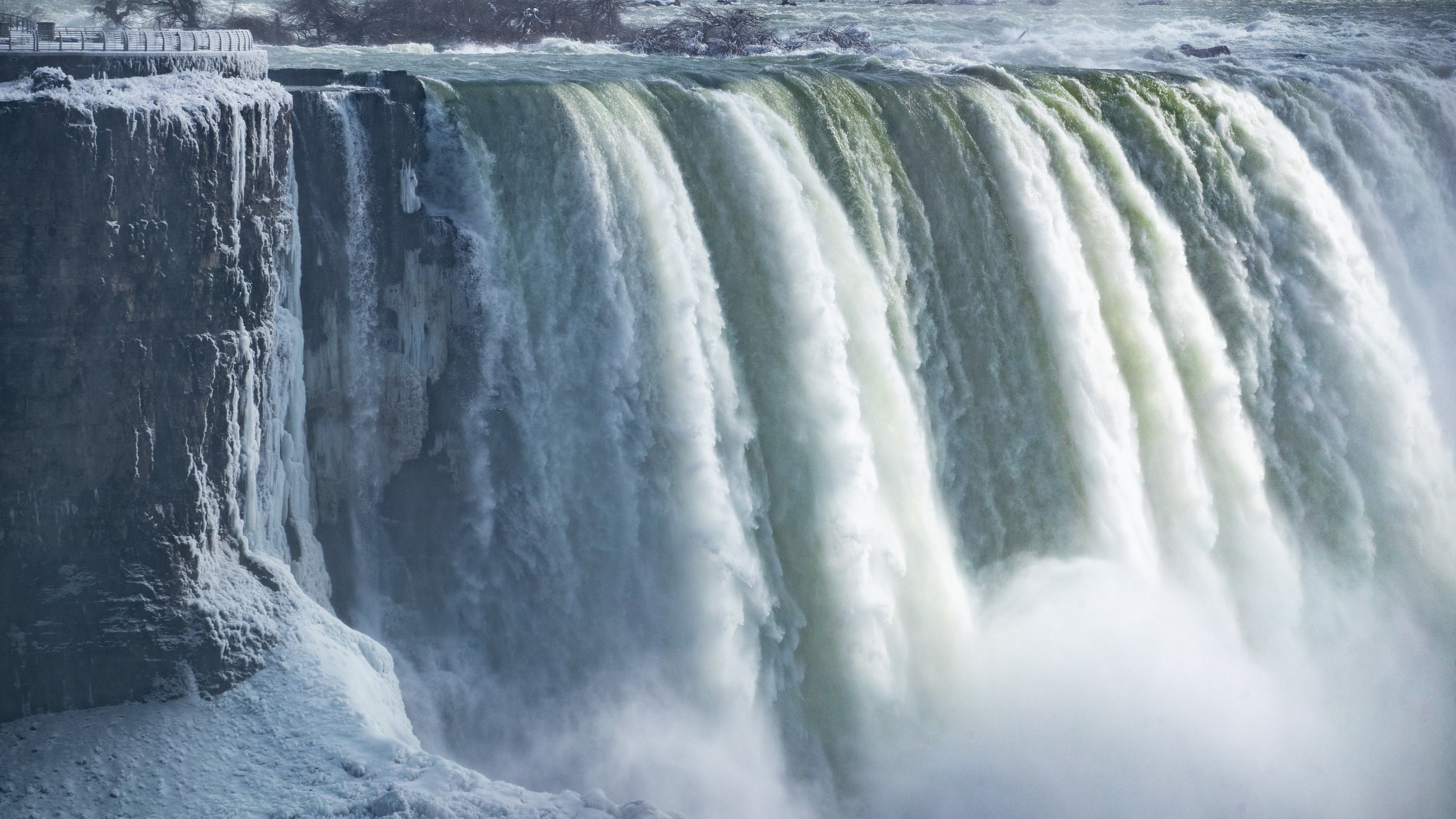 puedo llevar a mi perro a las cataratas del niagara ny