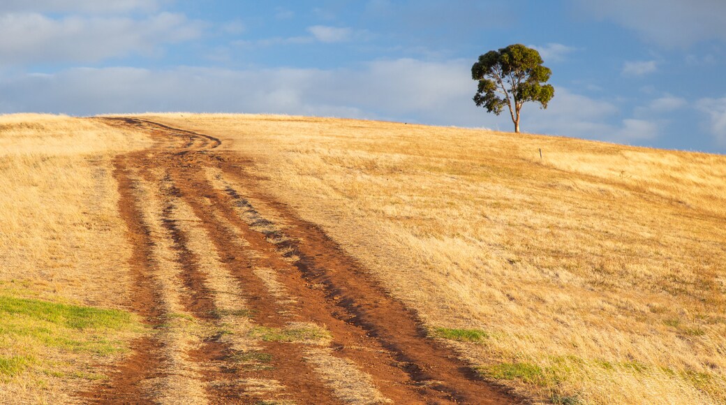 Brownhill Creek Recreation Park