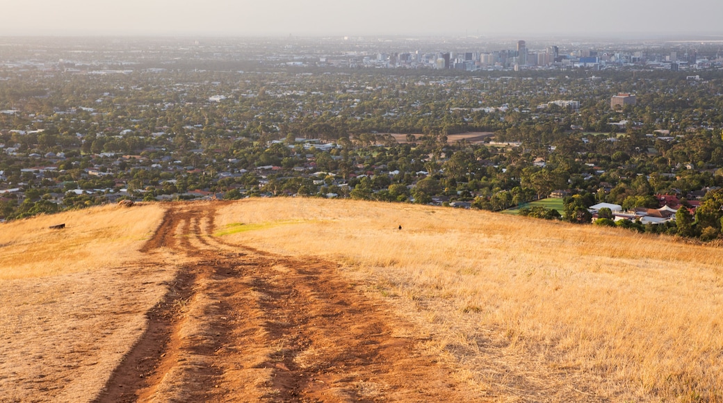 Brownhill Creek Recreation Park