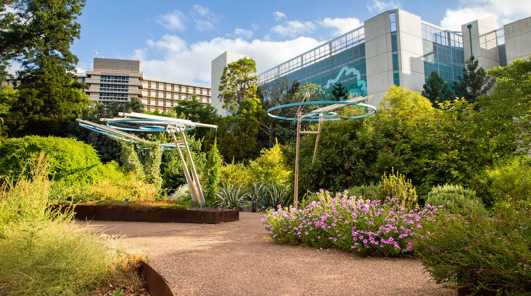 Adelaide Central Business District