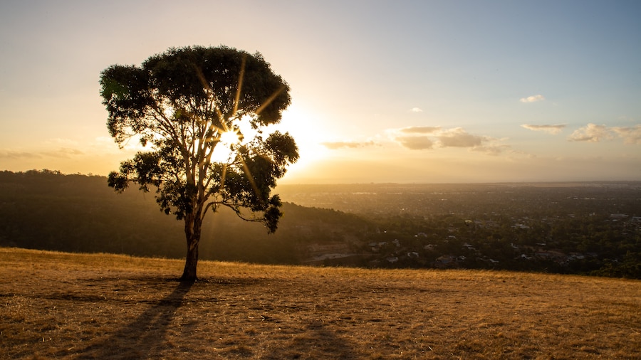 Brownhill Creek Recreation Park