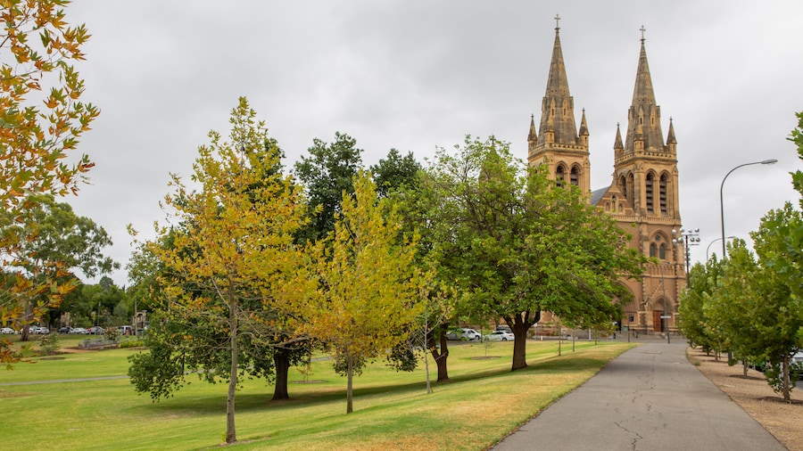 St Peter's Cathedral