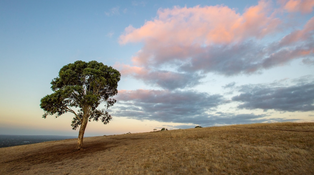 Brownhill Creek Recreation Park