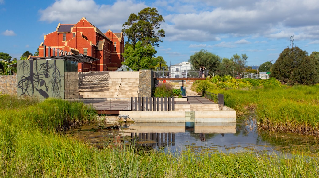 Adelaide Botanic Gardens
