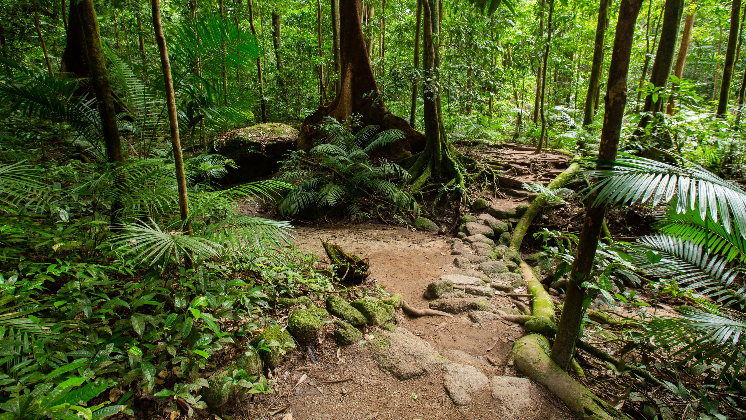 Mossman Vacation Rentals house rentals & more Vrbo