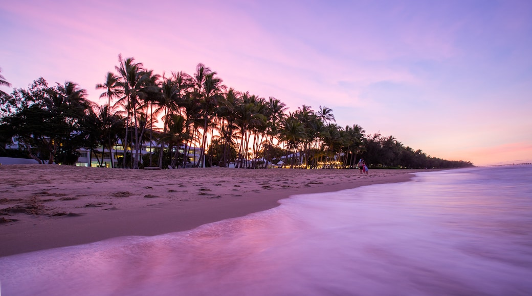 หาด Palm Cove