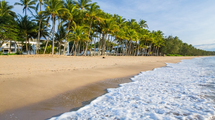 Bãi biển Palm Cove